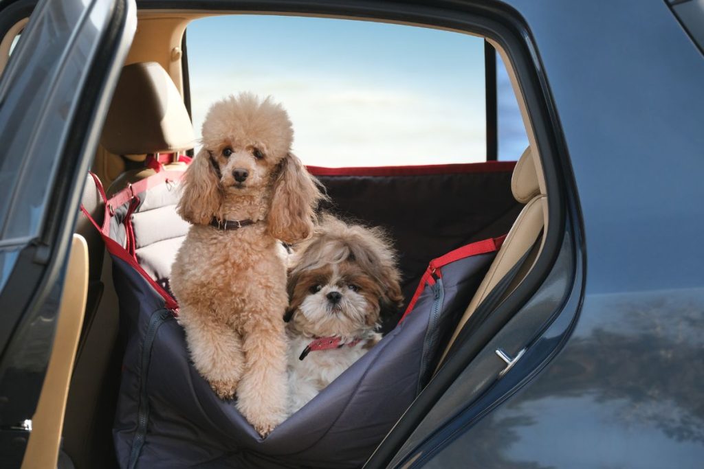 Back Seat Covers for Dogs