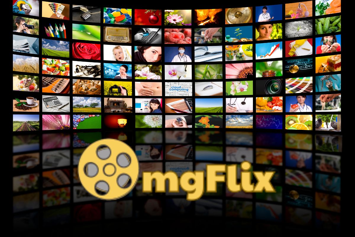 Omgflix Experience