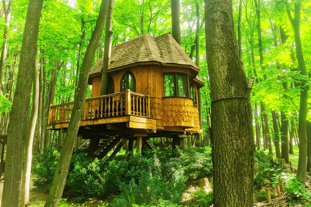 Tiny Tree Houses