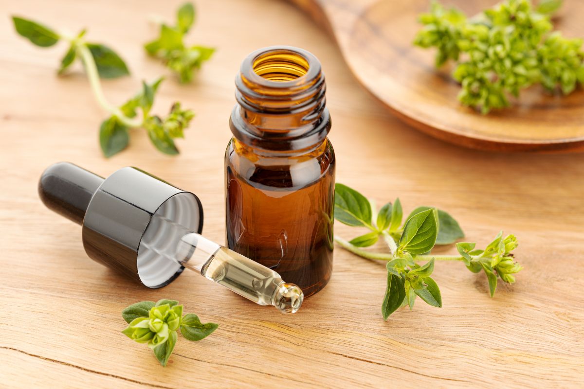 Oregano Oil