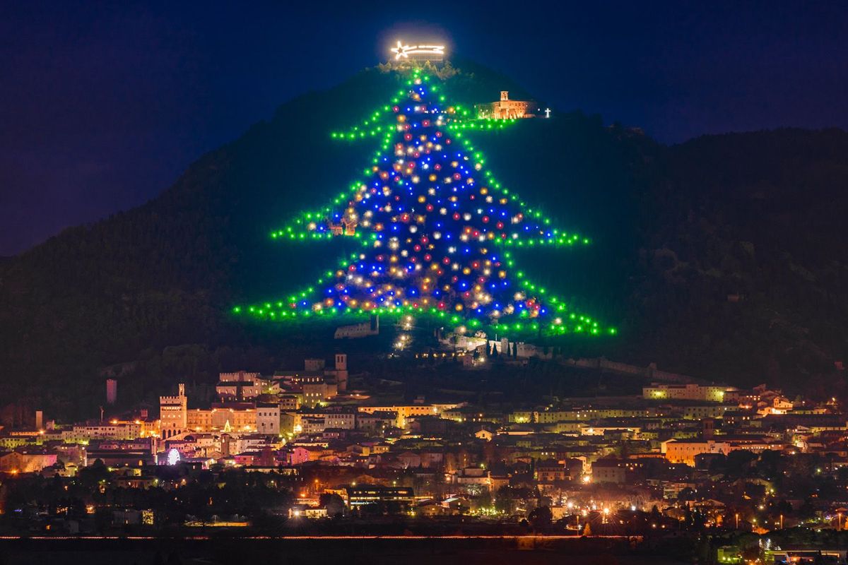 World’s Tallest Christmas Tree