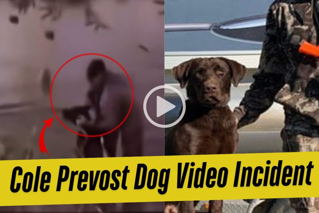 Cole Prevost Dog Video