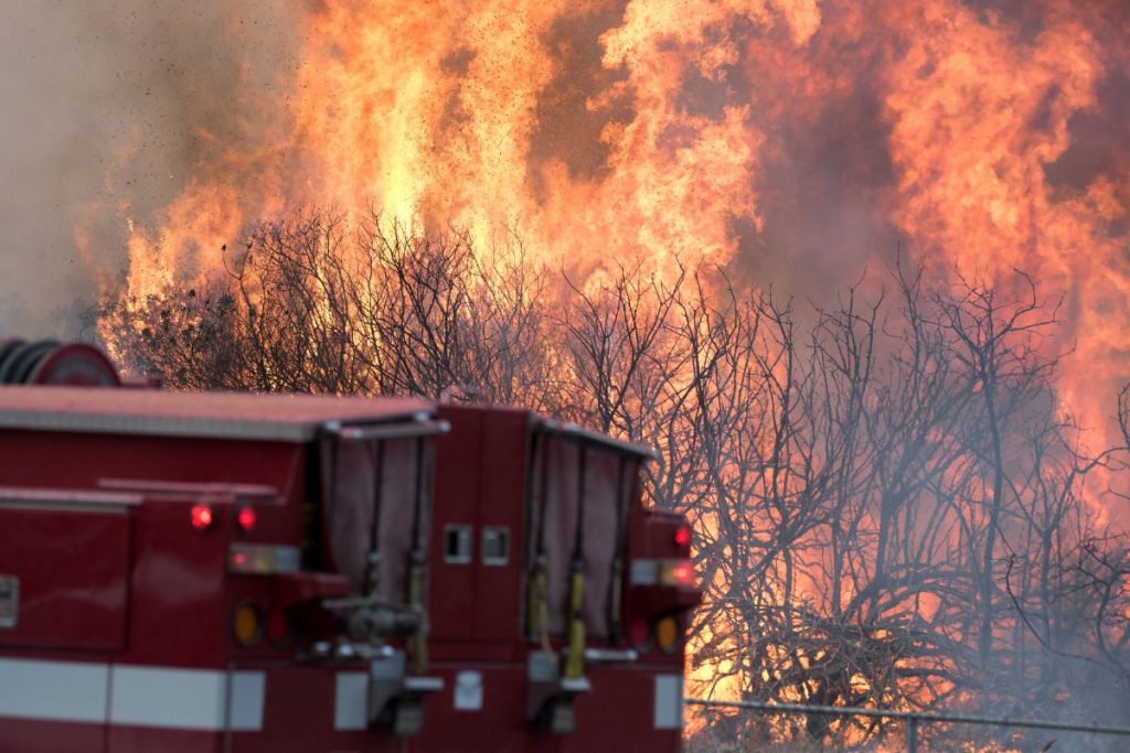 Los Angeles Wildfires