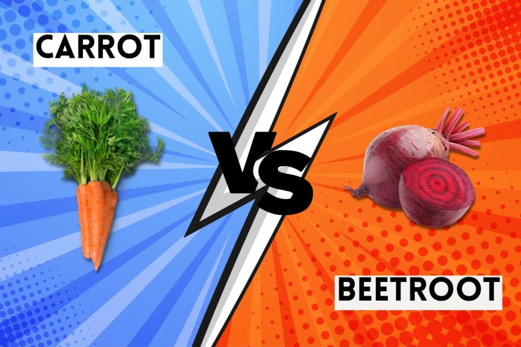 Carrot vs Beetroot