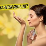 What Does Freesia Smell Like